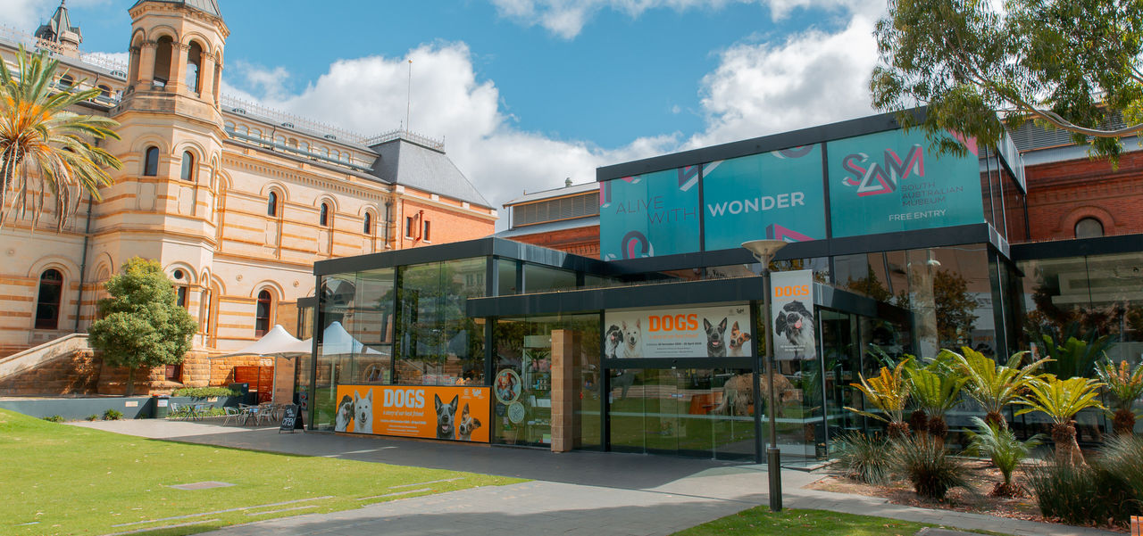 South Australian Museum