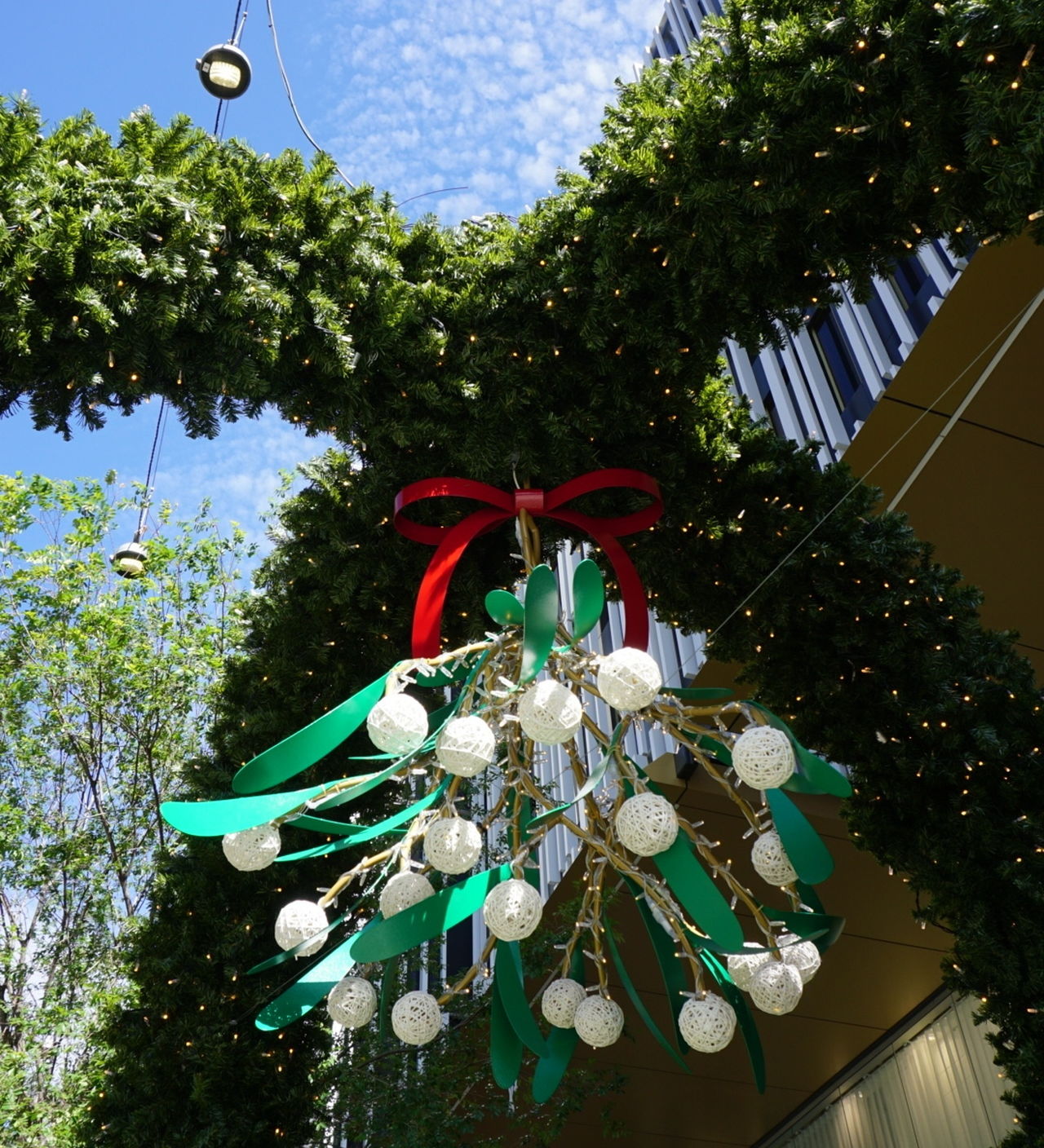 Mistletoe in the Mall