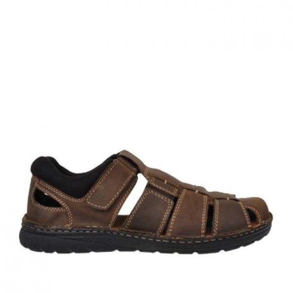 Sturt Brown Slide