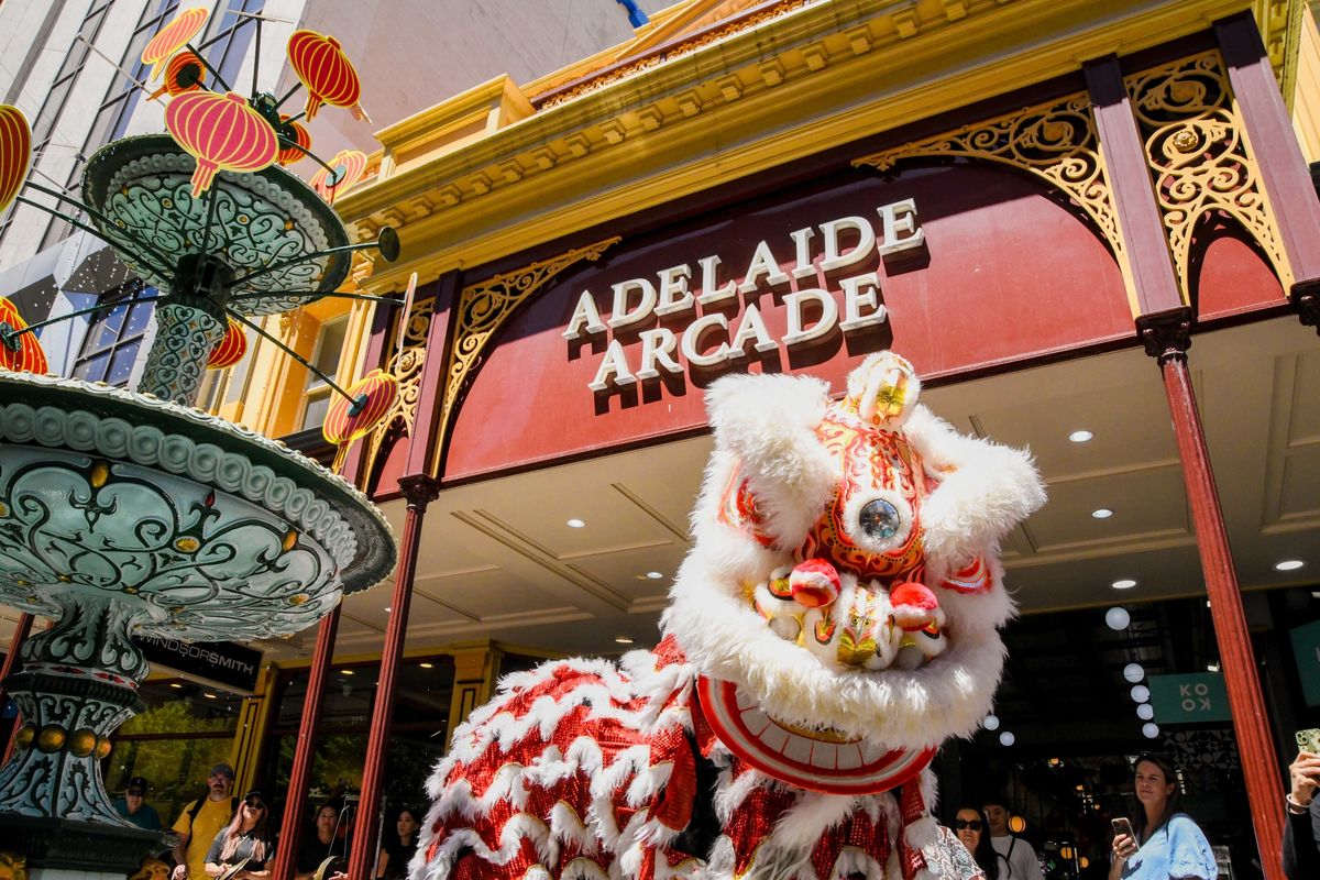 Lion dancer in front of Adelaide Arcade, next to the fountain