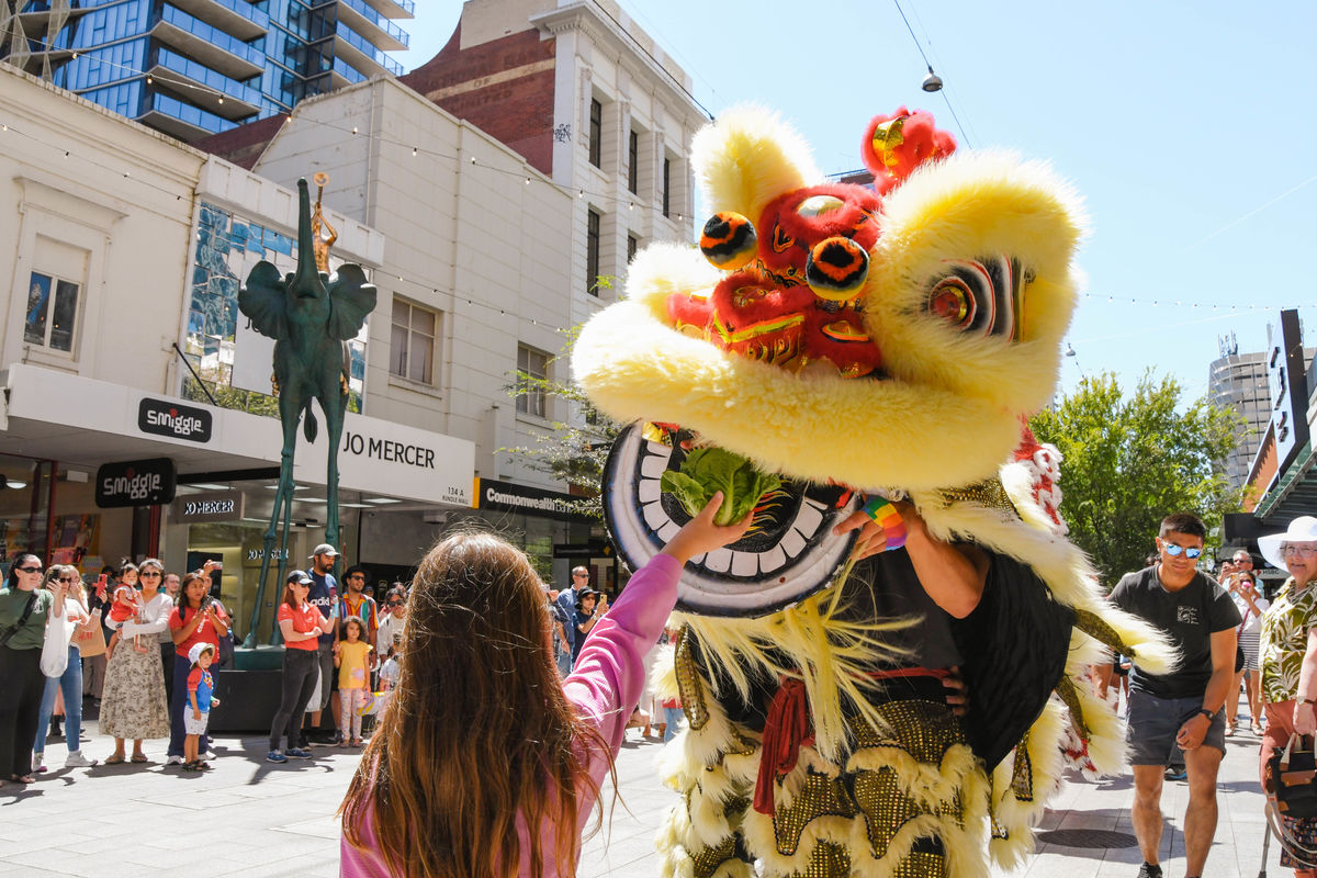 Young girl feeding lettuce to the lion dancer costume, as a sign of good luck