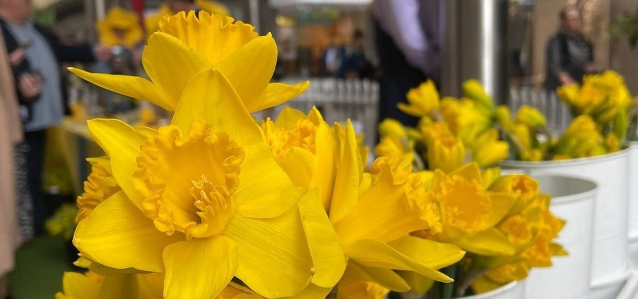 Rundle Mall Gawler Place