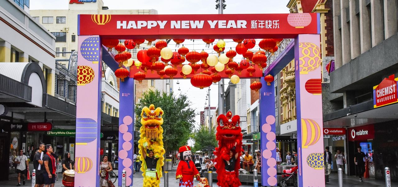 Chinese lions under the entry statement