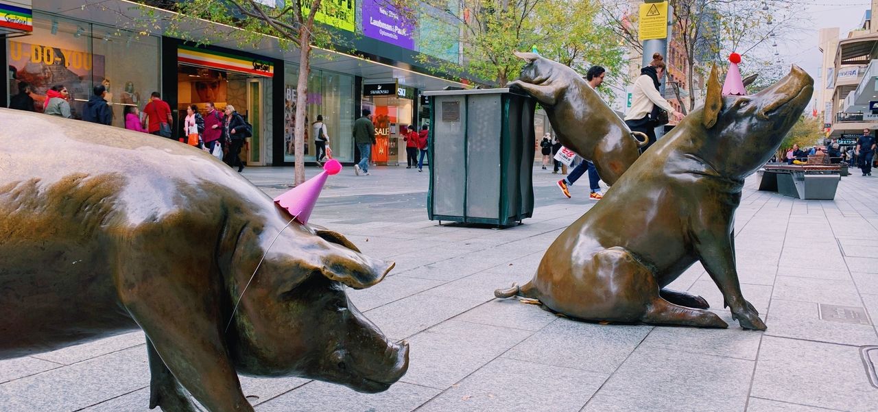 The Rundle Mall pigs