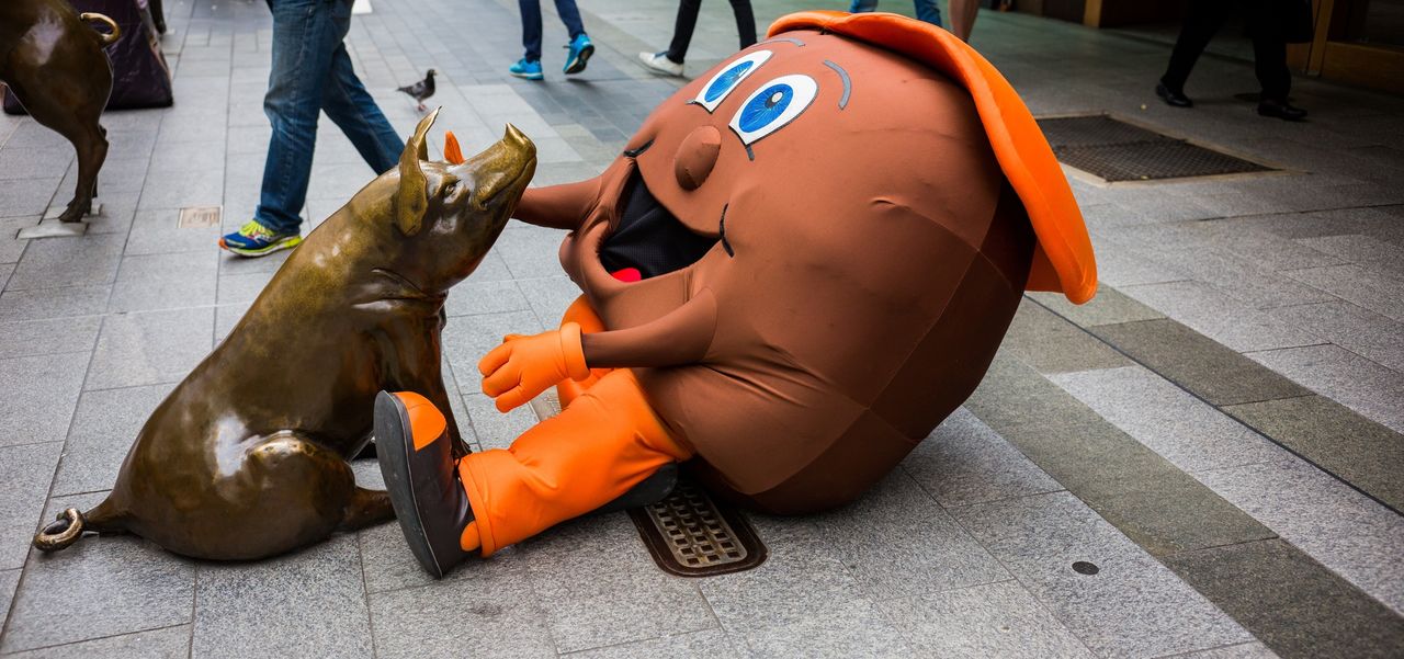 A Rundle Mall pig statue with Mr Fruchocs