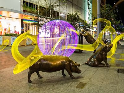 Lights swirling around the Rundle Mall pig statues