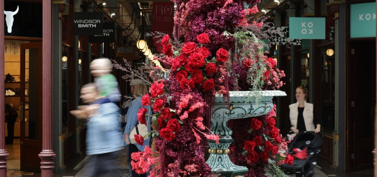 Roses taking over Adelaide Arcade fountain