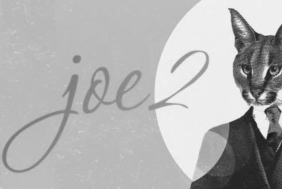 Joe 2