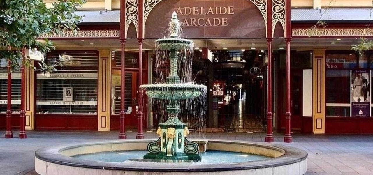 221930695 4330497993678118 193943491935195617 n